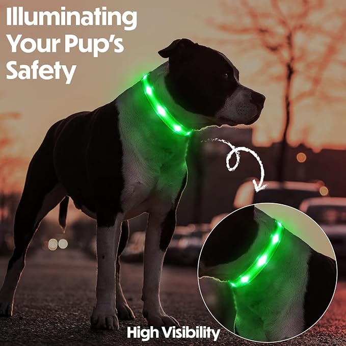 Light Up Dog Collar ??Reflective, Adjustable, Rechargeable Electronic Glow Pet Collars ??Bright, Comfortable, High Visibility LED Dog Collar for Night Safety, Outdoor Walk, Flashing Fun, Green, Medium