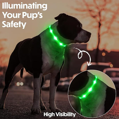 Light Up Dog Collar ??Reflective, Adjustable, Rechargeable Electronic Glow Pet Collars ??Bright, Comfortable, High Visibility LED Dog Collar for Night Safety, Outdoor Walk, Flashing Fun, Green, Medium