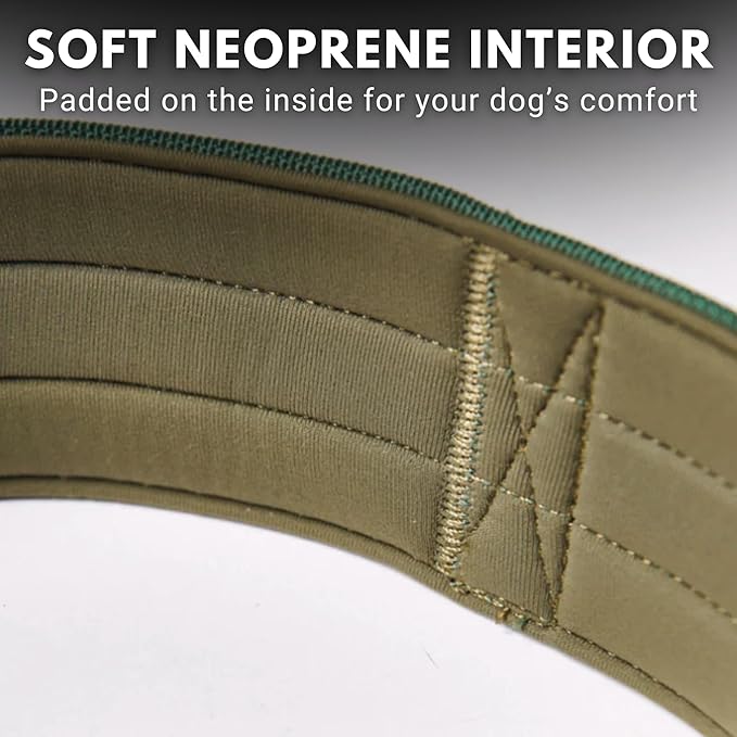 Spark Paws Tactical Dog Collar - Heavy Duty, Premium Quality, Thick and Durable for Large and Medium Dogs - Solid Green - M