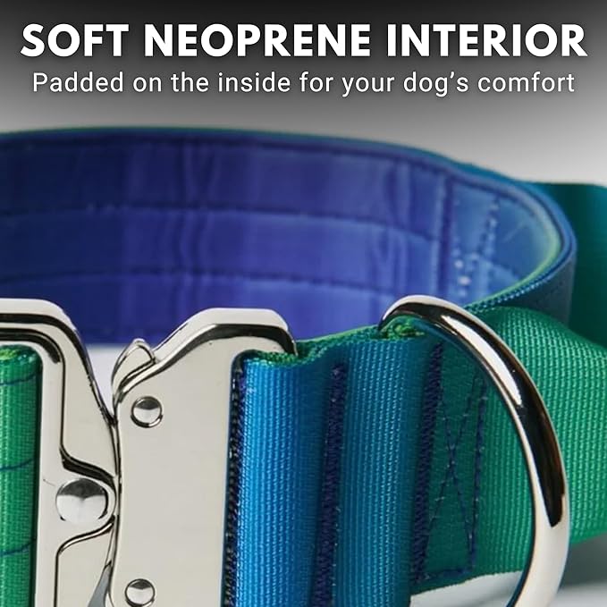 Spark Paws Tactical Dog Collar - Heavy Duty, Premium Quality, Thick and Durable for Large and Medium Dogs - Lime Wave - M