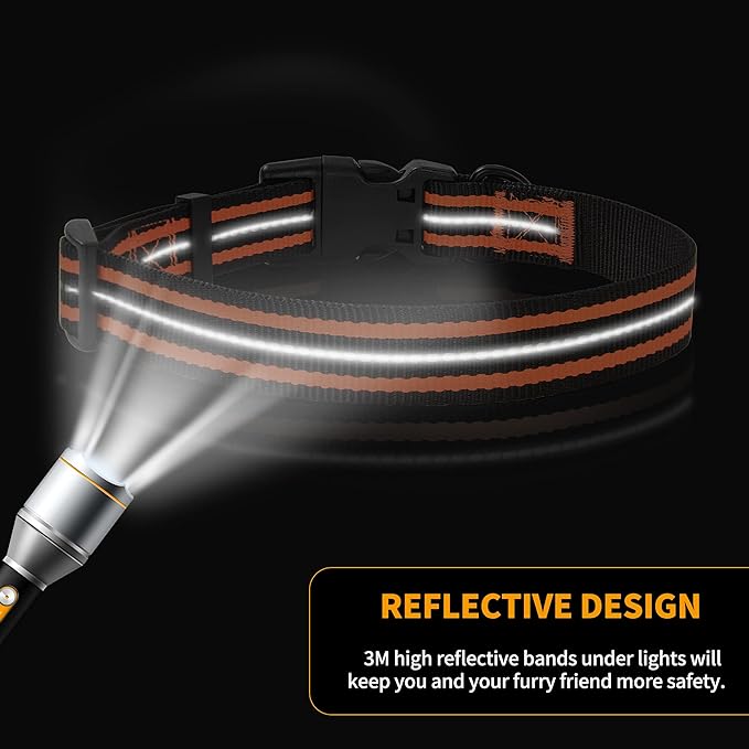 Mile High Life Reflective Dog Collar | Nylon Pet Collars wiith Buckle | Light Weight Puppy Collars | Orange Dog Collars for Medium Dogs (Orange, M)