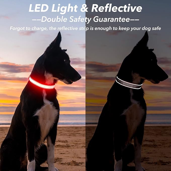 Visinite Light Up Dog Collar, Reflective LED Dog Collar, Adjustable Lighted Dog Collars Rechargeable Waterproof, Bright Dog Glow Collar for Pet Safety at Night Walking, Fit Large Medium Dogs