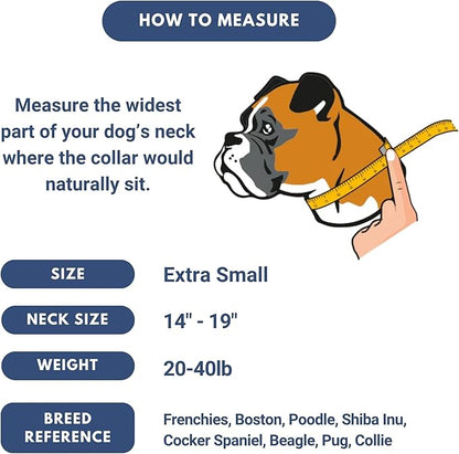 Spark Paws Tactical Dog Collar - Heavy Duty, Premium Quality, Thick and Durable for Large and Medium Dogs - Snow Cone - XS - 1"
