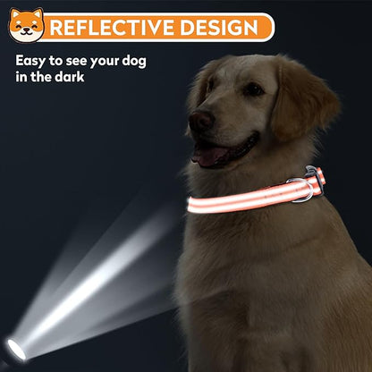 Reflective Dog Collar, Adjustable Soft Neoprene Padded Nylon Pet Collars with Buckle for Medium Dogs, Orange,M