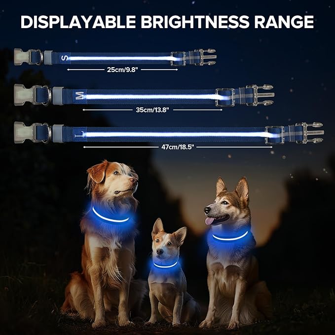 Light Up Dog Collar, Adjustable USB Rechargeable Glow in Dark Dog Collar ，Waterproof Dog Collars for Large Dogs (Blue, Large)