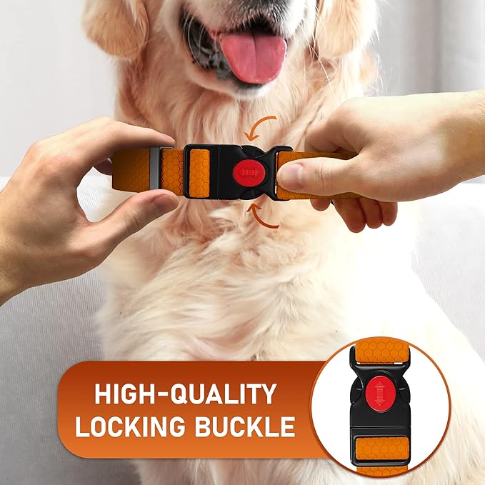 Adjustable Dog Collar with Safety Lock Buckle - Made in USA - Honeycomb Waterproof Heavy Duty Dog Collars for Medium Large Dogs - Odor Proof Pet Collar for Dogs with Strong Zinc D Ring Orange