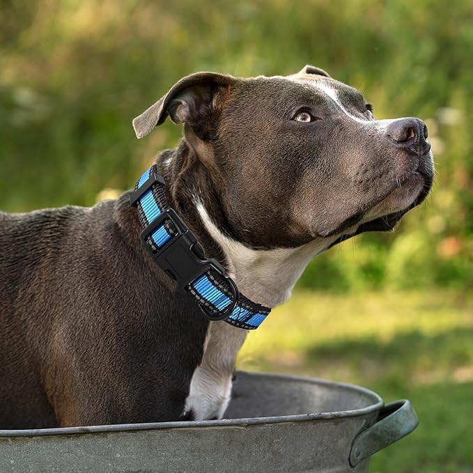 Mile High Life Dog Collar | Nylon Reflective Dog Collars | Light Weight Puppy Collars | Blue Dog Collars for Large Dogs (Blue, Large)