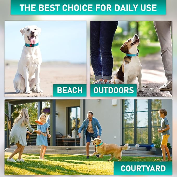 Adjustable Dog Collar with QR Code Dog Tag ID Attached - Made in USA - Honeycomb Waterproof Heavy Duty Dog Collar with Safe Lock Buckle - Odor Proof Pet Collar for Dogs with Strong Zinc D Ring