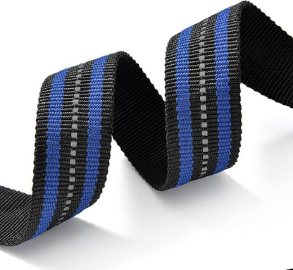 Mile High Life Reflective Dog Collar | Nylon Pet Collars wiith Buckle | Light Weight Puppy Collars | Blue Dog Collars for Large Dogs (Blue, L)