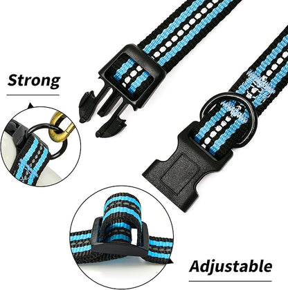 Mile High Life Reflective Dog Collar | Nylon Pet Collars wiith Buckle | Light Weight Puppy Collars | Light Blue Dog Collars for Medium Dogs (Light Blue, M)