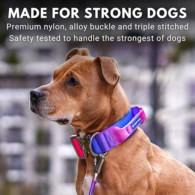 Tactical Dog Collar with Handle - Premium Quality Collar, Robust and Durable Design for Large, Strong Breeds - Pitbulls, Labradors, GSD - Snow Cone - L