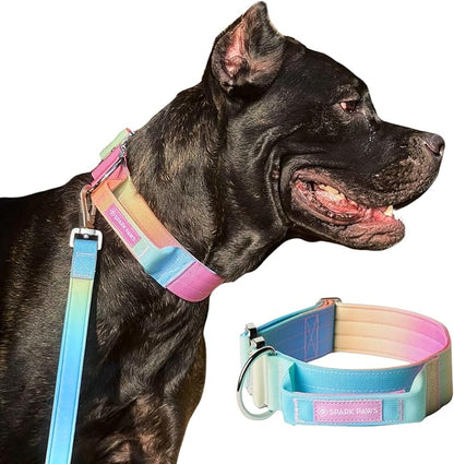 Tactical Dog Collar with Handle - Premium Quality Collar, Robust and Durable Design for Large, Strong Breeds - Pitbulls, Labradors, GSD - Pastel Icing - L