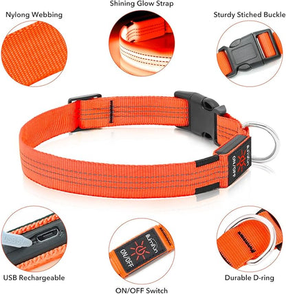 Illumifun Light Up Dog Collar USB Rechargeable LED Dog Collar, Adjustable Blinking Dog Light for Large Dogs (Orange?? Large)