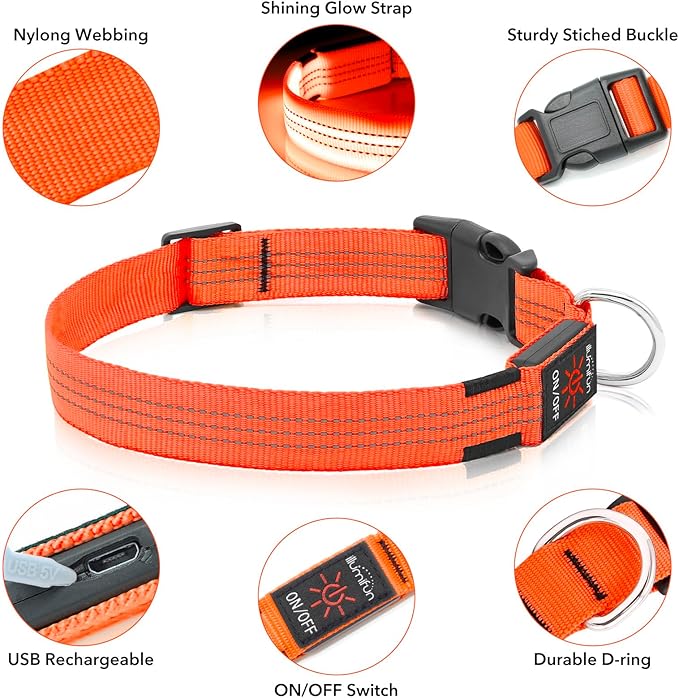 Illumifun USB Rechargeable LED Dog Collar, Light Up Dog Collar for Small Dogs, Reflective Adjustable Safety Dog Collar Lights for Night Walking (Orange?? Small)