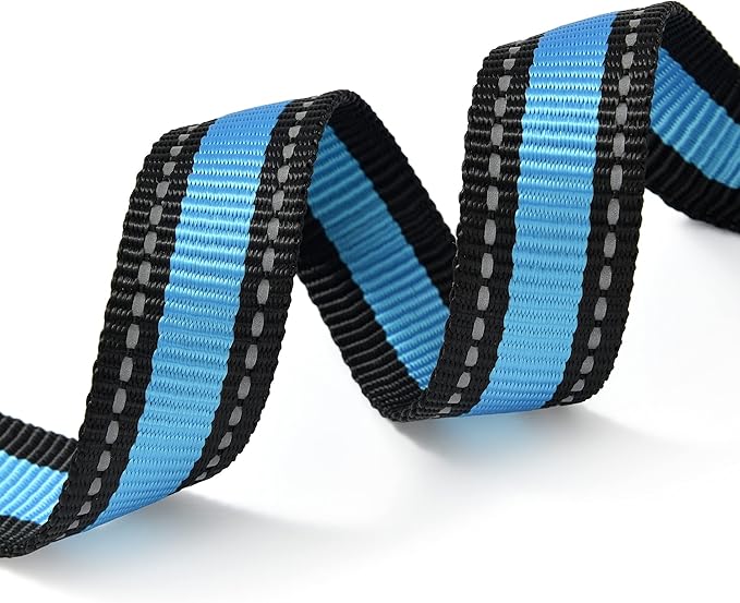 Mile High Life Dog Collar | Nylon Reflective Dog Collars | Light Weight Puppy Collars | Blue Dog Collars for Large Dogs (Blue, Large)