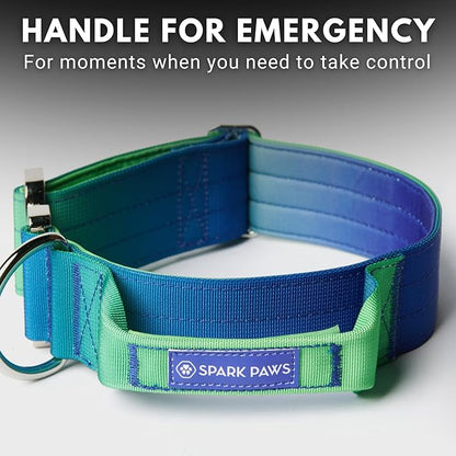 Spark Paws Tactical Dog Collar - Heavy Duty, Premium Quality, Thick and Durable for Large and Medium Dogs - Lime Wave - M