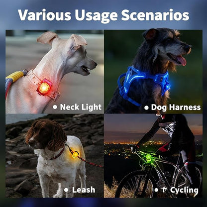 LaRoo Dog Lights for Night Walking,USB-C Rechargeable Safety Lights，Only 13g for Small Dogs, 3 Modes Waterproof LED Collar Charm for Nighttime Running,Pet Camping Essentials(Yellow)
