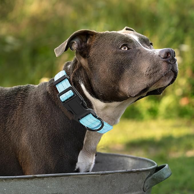Mile High Life Dog Collar | Nylon Reflective Dog Collars | Light Weight Puppy Collars | Blue Dog Collars for Small Dogs (Solid Blue, X-Small)