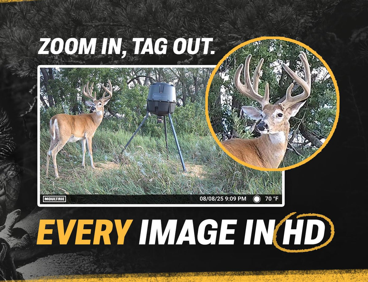 Moultrie Edge 2 Cellular Trail Camera 2-Pack - 36MP, Low-Glow Flash