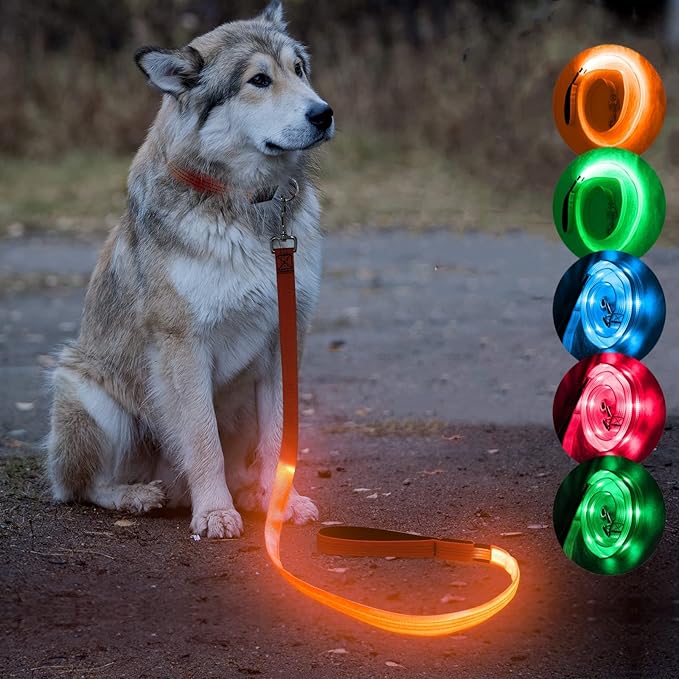 Candofly LED Dog Leash Rechargeable, 4 Ft Glow in The Dark Light Up Dog Leash, Nylon Reflective Dog Rope with Light for Small Medium Large Dogs (Orange)
