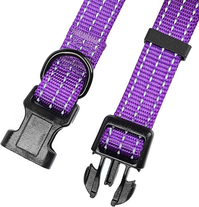 Mile High Life Dog Collar | Nylon Reflective Dog Collars | Light Weight Puppy Collars | Purple Dog Collars for Medium Dogs (Solid Purple, Medium)