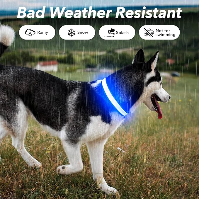 Visinite Light Up Dog Collars for Small Medium Large Dogs, Fully Adjustable LED Dog Collar USB Rechargeable, 3 Glowing Modes Pet Dog Collar, Lighted Dog Collars for Night Walking Safety