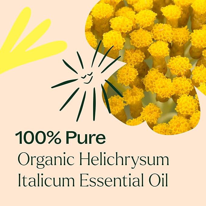 Plant Therapy Organic Helichrysum Italicum Essential Oil for Skin 100% Pure, USDA Certified Organic, Undiluted, Natural Aromatherapy for Diffusion, Therapeutic Grade 2.5 mL (1/12 oz)