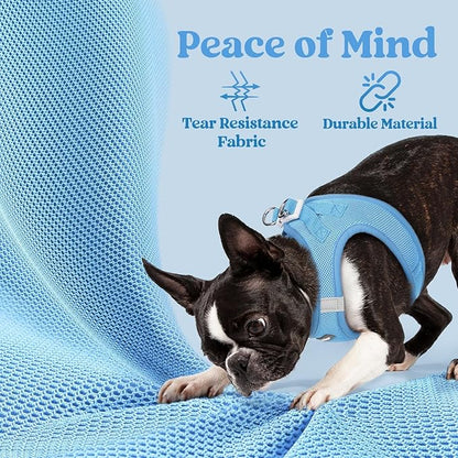 rabbitgoo Small Dog Harness, Step-in Soft Mesh Puppy Vest with Safety Buckle, Breathable Reflective Pet Harness for Small Medium Dogs, Blue L