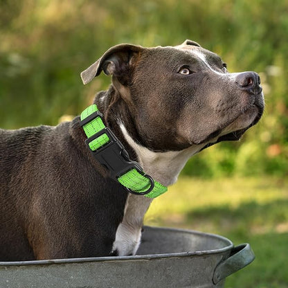 Mile High Life Dog Collar | Nylon Reflective Dog Collars | Light Weight Puppy Collars | Lime Green Dog Collars for Large Dogs (Solid Lime Green, Large)