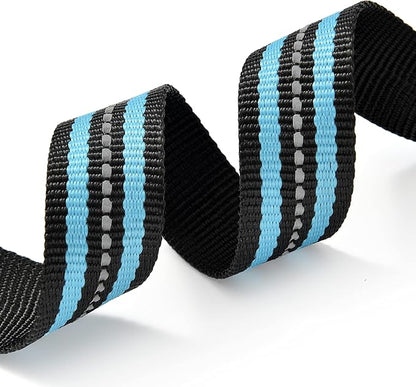 Mile High Life Reflective Dog Collar | Nylon Pet Collars wiith Buckle | Light Weight Puppy Collars | Light Blue Dog Collars for Small Dogs (Light Blue, S)