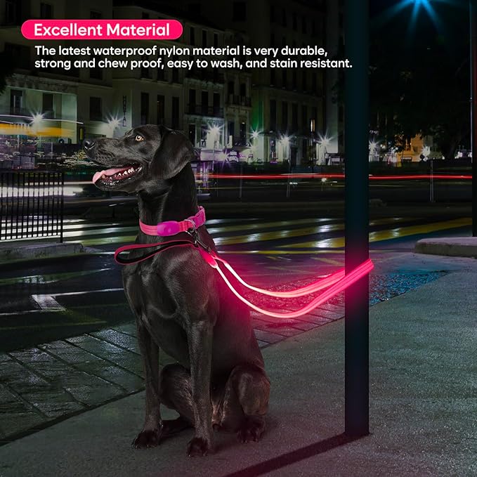 LED Dog Leash, Light Up Dog Leash 4 Ft USB Rechargeable Waterproof, Nylon Reflective Leashes with Padded Handle for Dogs Night Walking Light, Safety Glow in The Dark for Large Medium Pets (Pink)