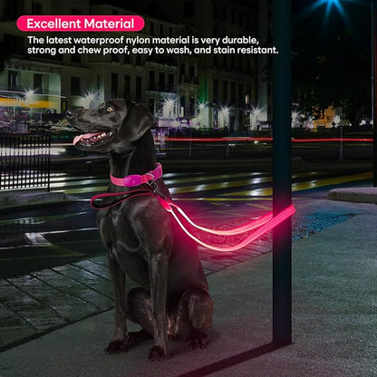 LED Dog Leash, Light Up Dog Leash 4 Ft USB Rechargeable Waterproof, Nylon Reflective Leashes with Padded Handle for Dogs Night Walking Light, Safety Glow in The Dark for Large Medium Pets (Pink)