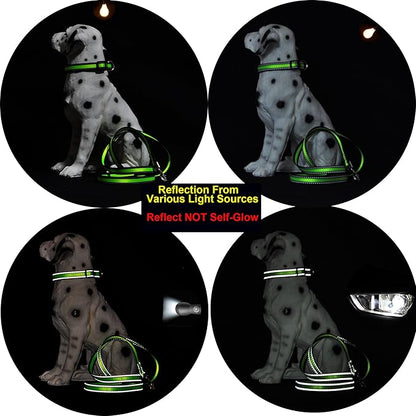 Mile High Life Dog Collar | Nylon Reflective Dog Collars | Light Weight Puppy Collars | Red Dog Collars for Large Dogs (Red, Large)