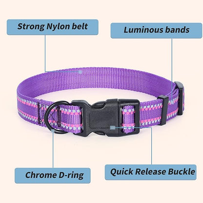 Mile High Life Reflective Dog Collar, Basic Dog Collars Adjustable Quick Release, Soft Nylon Pet Collar with Metal D-Ring for Small Medium Large Dogs (Purple, M Neck13-17")