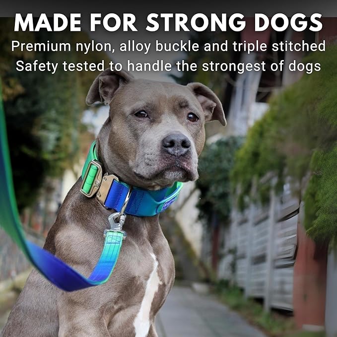 Spark Paws Tactical Dog Collar - Heavy Duty, Premium Quality, Thick and Durable for Large and Medium Dogs - Lime Wave - M
