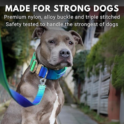 Spark Paws Tactical Dog Collar - Heavy Duty, Premium Quality, Thick and Durable for Large and Medium Dogs - Lime Wave - M
