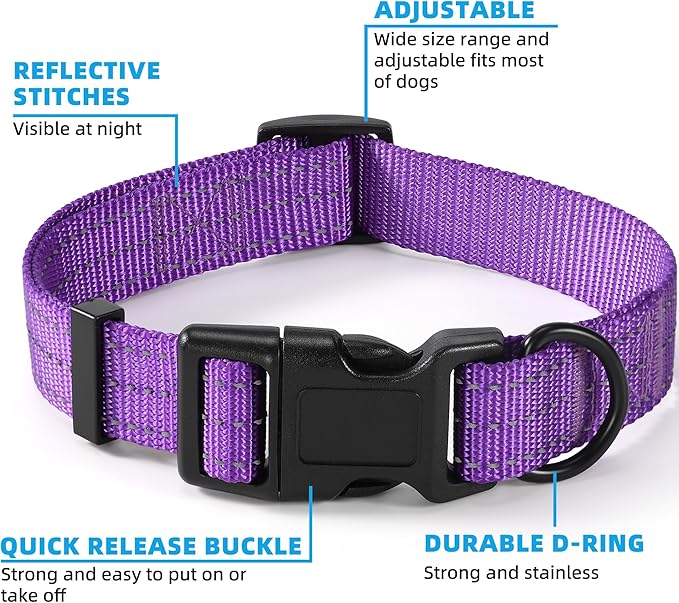 Mile High Life Dog Collar | Nylon Reflective Dog Collars | Light Weight Puppy Collars | Purple Dog Collars for Large Dogs (Solid Purple, Large)
