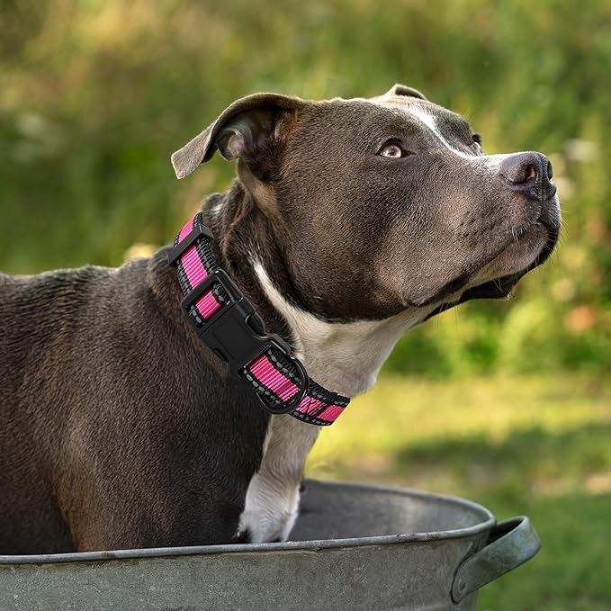 Mile High Life Dog Collar | Nylon Reflective Dog Collars | Light Weight Puppy Collars | Pink Dog Collars for Small Dogs (Pink, X-Small)