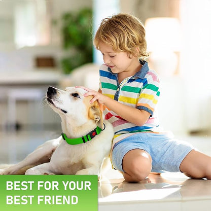 Adjustable Dog Collar with Safety Lock Buckle - Made in USA - Honeycomb Waterproof Heavy Duty Dog Collars for Medium Large Dogs - Odor Proof Pet Collar for Dogs with Strong Zinc D Ring Green