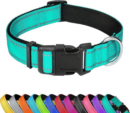 Reflective Dog Collar, Adjustable Soft Neoprene Padded Nylon Pet Collars with Buckle for Medium Dogs, Teal,M