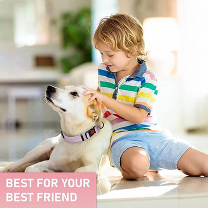 Adjustable Dog Collar with QR Code Dog Tag ID Attached - Made in USA - Honeycomb Waterproof Heavy Duty Dog Collar with Safe Lock Buckle - Odor Proof Pet Collar for Dogs with Strong Zinc D Ring