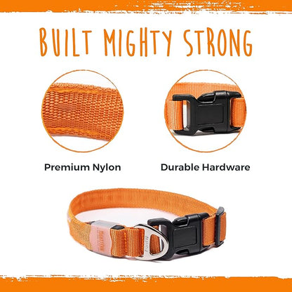 Mighty Paw LED Dog Collar - USB Rechargeable LED - High Visibility Glow Pet Strips - Weather Resistant - 3 Bright Light Modes for Nighttime Dog Safety - Collar USB (S, Orange)