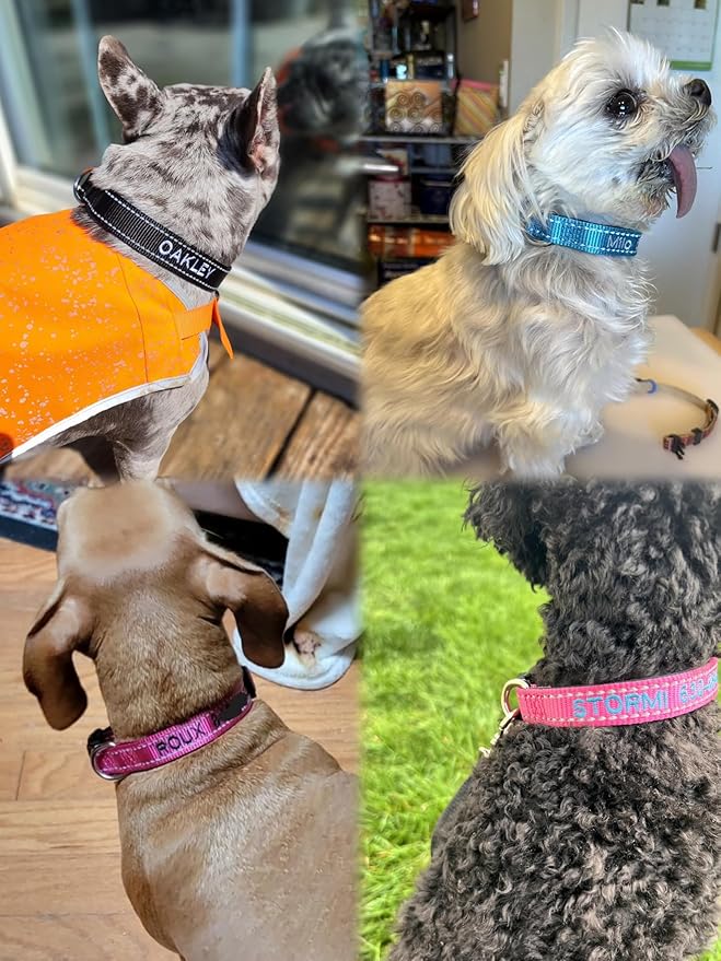 Custom Reflective Dog Collars with Embroidered Name and Phone Number, Soft Neoprene Padded Breathable Nylon Personalized Pet Collar Adjustable for Large Medium Small Dogs