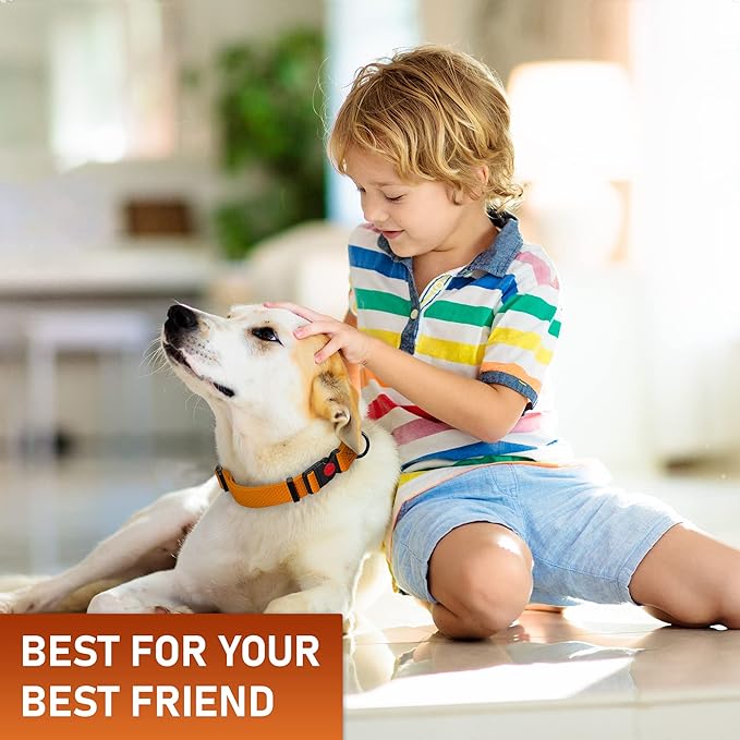 Adjustable Dog Collar with Safety Lock Buckle - Made in USA - Honeycomb Waterproof Heavy Duty Dog Collars for Medium Large Dogs - Odor Proof Pet Collar for Dogs with Strong Zinc D Ring Orange
