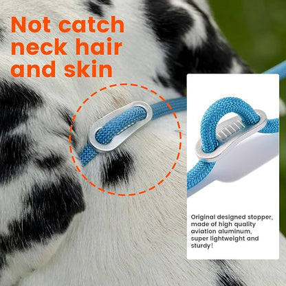 Slip Lead Dog Leash with Double Handles | Reflective Dog Training Lead with 360° Swivel Anti-Tangle | Heavy-Duty Leash and Collar for Large Medium and Small Dogs No-Pull Walking (Orange, 5.5FT)