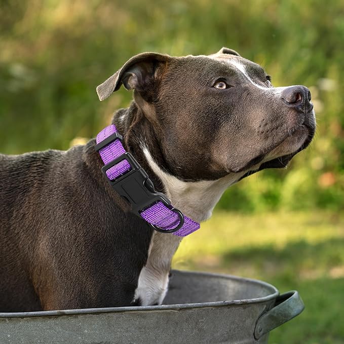 Mile High Life Dog Collar | Nylon Reflective Dog Collars | Light Weight Puppy Collars | Purple Dog Collars for Large Dogs (Solid Purple, Large)