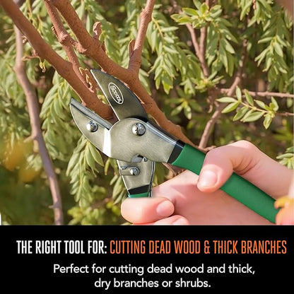 Scotts 8 in. Anvil Pruning Shears – 1/2 in. Cutting Capacity, Heavy-Duty Garden Pruner for Dry Stems and Dead Wood, Sap Resistant – Comfort Grip with Sharp Carbon Steel Blade for Yard and Garden Use