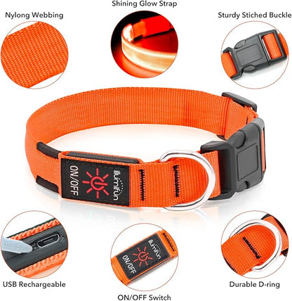 Illumifun LED Dog Collar, Adjustable Light Up Dog Collars, USB Rechargeable Water-Resistant Glowing Safety Collar Light (Orange, Small)