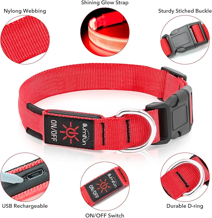 Illumifun Light Up Dog Collar - USB Rechargeable LED Dog Collar Glow in The Dark, Adjustable Pet Collar Light for Night Walking (Red, Medium)