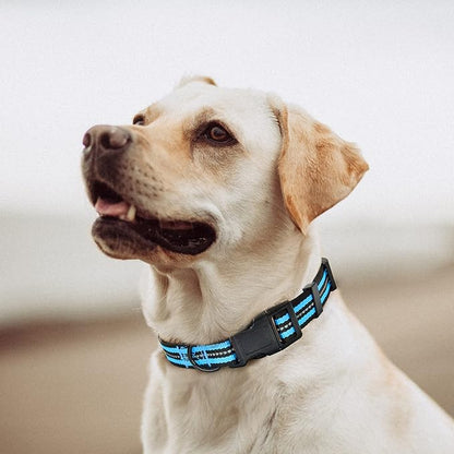 Mile High Life Reflective Dog Collar | Nylon Pet Collars wiith Buckle | Light Weight Puppy Collars | Light Blue Dog Collars for Small Dogs (Light Blue, X-S)